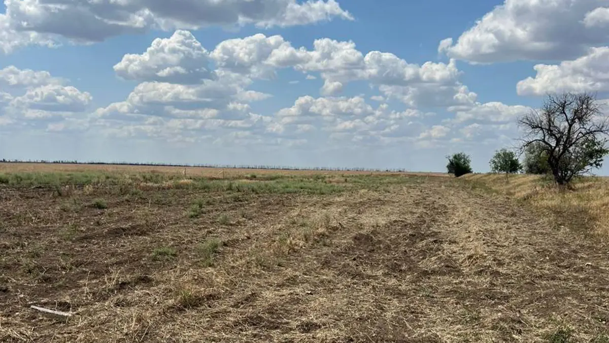 Миколаївська область • Агроугіддя